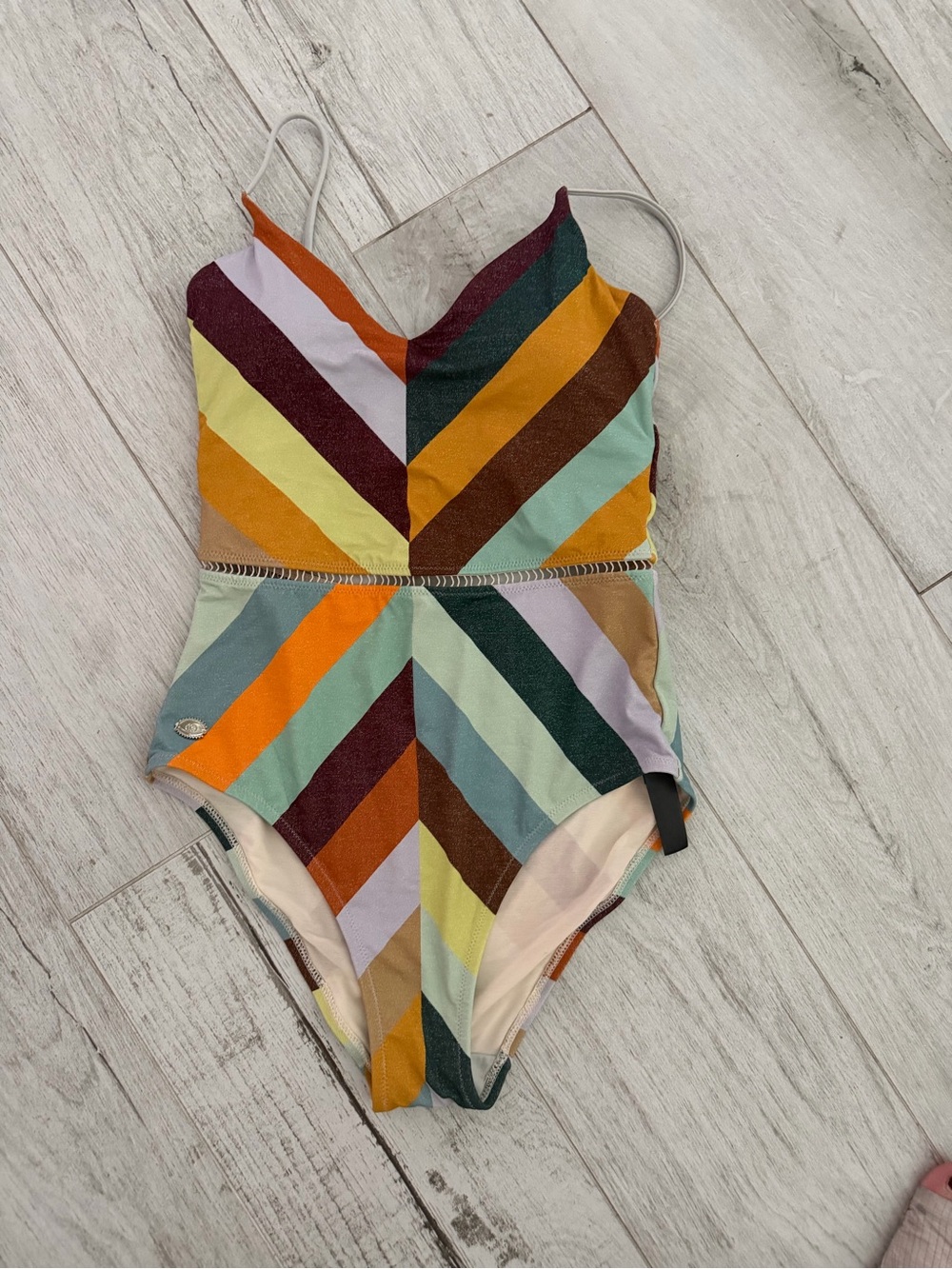 Striped Multicolor One-Piece Swimsuit - Women's